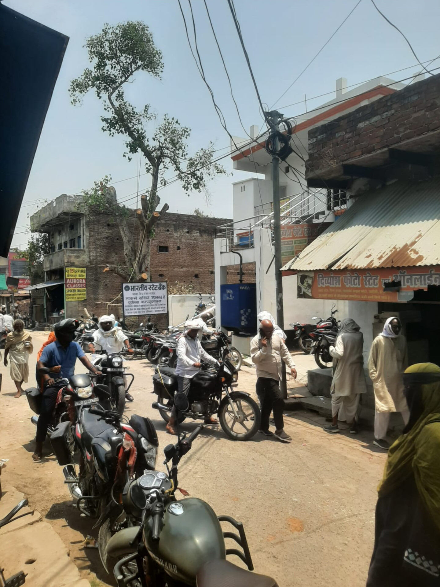 कचहरी परिसर में हरा-भरा पीपल का वृक्ष काटे जाने से आक्रोश, प्रशासन की भूमिका पर उठे सवाल