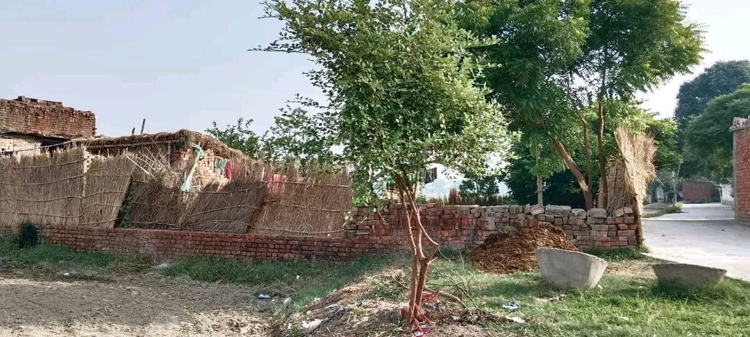 हाईकोर्ट के आदेश के बाद प्रशासन सख्त: खनवर नवादा में सरकारी जमीनों पर अवैध कब्जे के खिलाफ बड़ी कार्रवाई, 10 को नोटिस