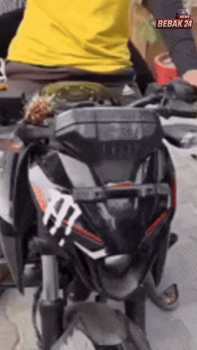 विशेष रिपोर्ट: 'रील' की दुनिया से 'रियल' क्राइम तक: पूर्वांचल में स्टंटबाजी और 'डिजिटल गैंग' का नया रक्तचरित्र