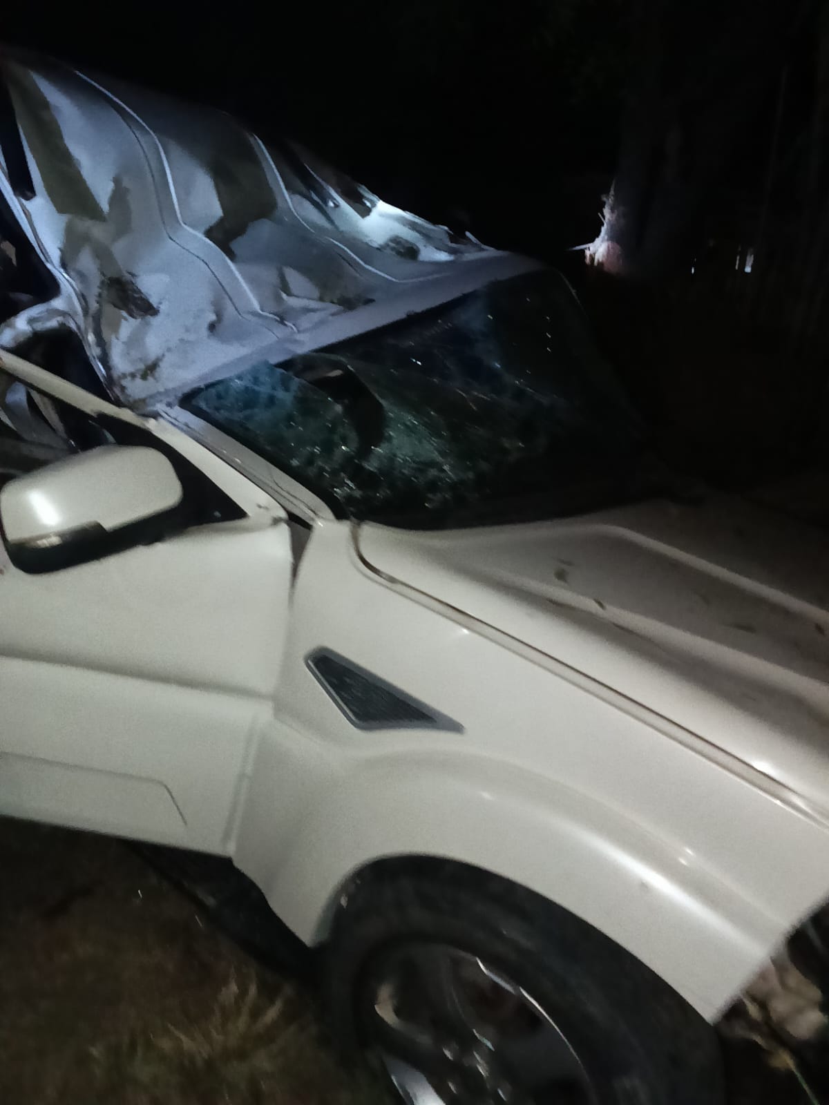 स्कार्पियों पेड़ से टकराई, युवक की मौत